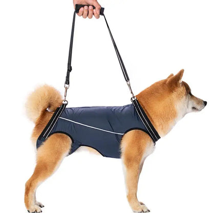 Dog Lift Harness for Injured & Senior Dogs with Arthritis | Adjustable Full Body Dog Support Sling for Rehab 1