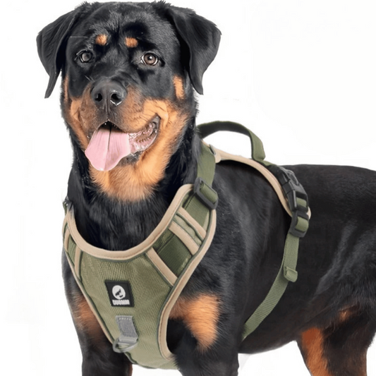 Reflective No-Pull Dog Harness with Handle for Safe & Controlled Walks
