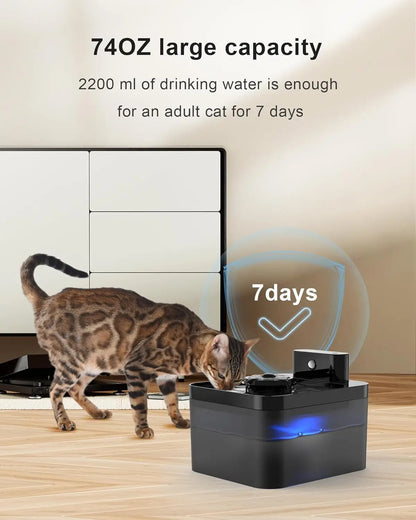 Wireless 2.2L Cat Water Fountain with Automatic Sensor | USB Rechargeable