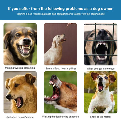 Automatic Anti-Bark Collar with No Shock & Safe-Shock Modes | USB Rechargeable & Waterproof Electric Dog Collar 9