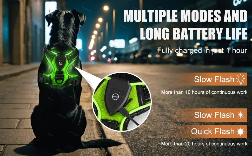 Bright LED Dog Harness for Safe Walking At Night | USB Rechargeable 11
