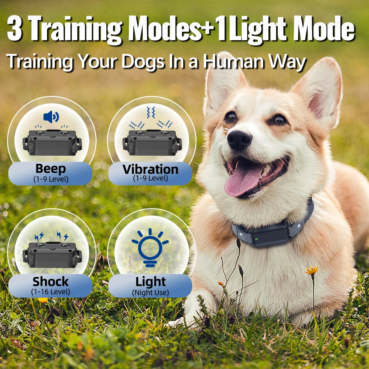 Dog Training eCollar with Remote & Flashlight for Sound, Vibration & Shock Control up to 600m | Waterproof & Night-Safe