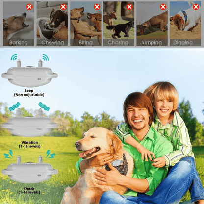 300m Dog Training Collar & Digital Remote Control with Safety Strap 10