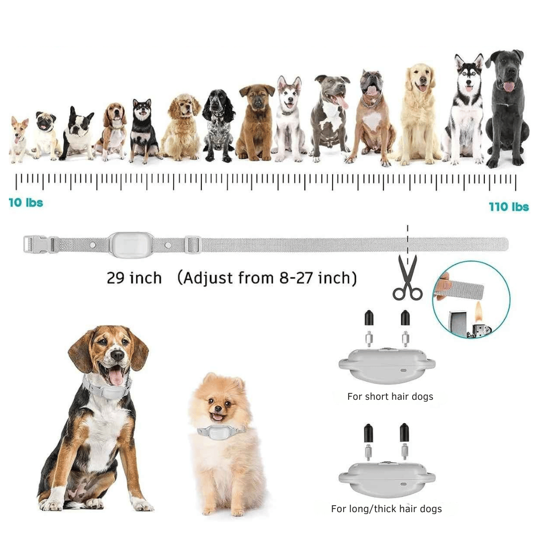 300m Dog Training Collar & Digital Remote Control with Safety Strap 11