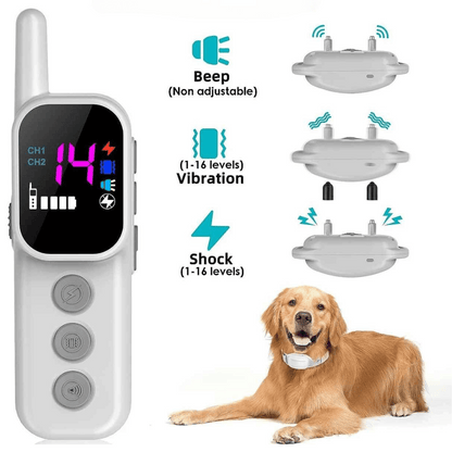 300m Dog Training Collar & Digital Remote Control with Safety Strap 13