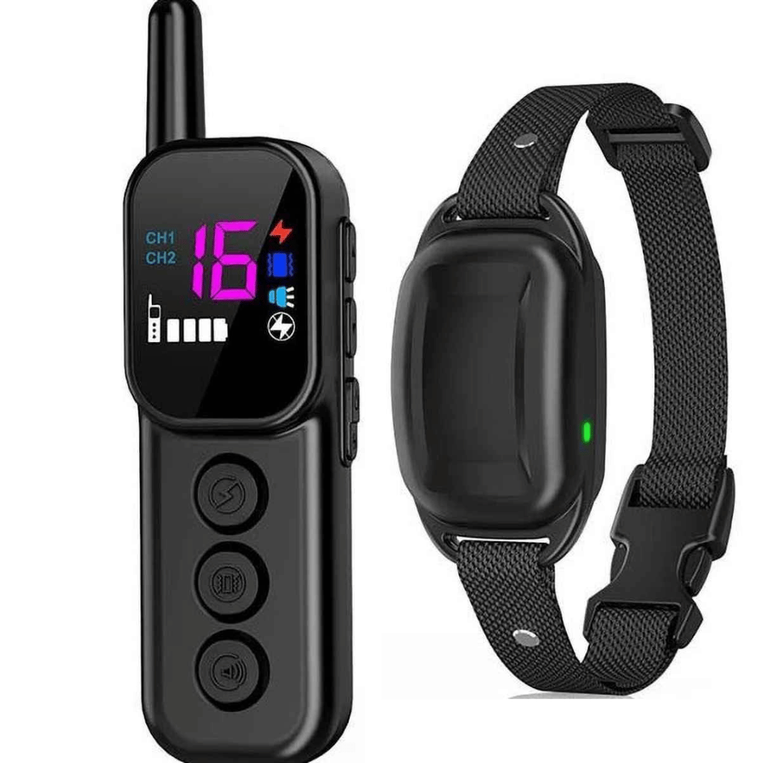 300m Dog Training Collar & Digital Remote Control with Safety Strap 2