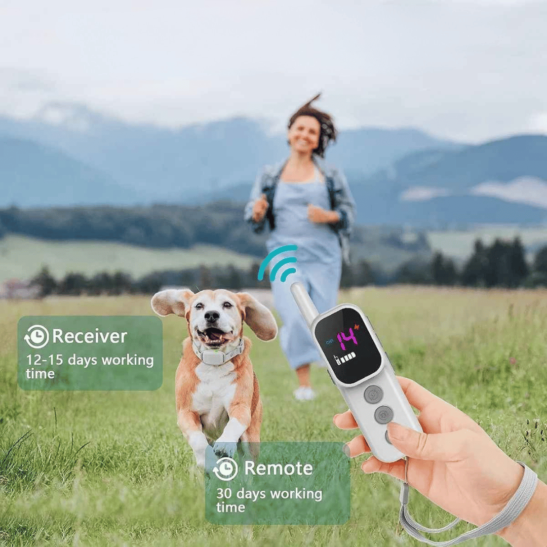 300m Dog Training Collar & Digital Remote Control with Safety Strap 4