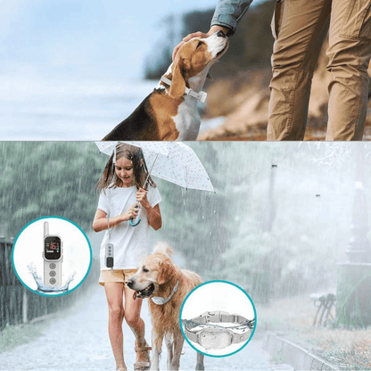 300m Dog Training Collar & Digital Remote Control with Safety Strap 6