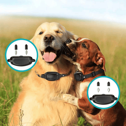 300m Dog Training Collar & Digital Remote Control with Safety Strap 9
