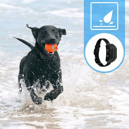 300m Dog Training Collar with LCD Remote | Waterproof E-Collar 5