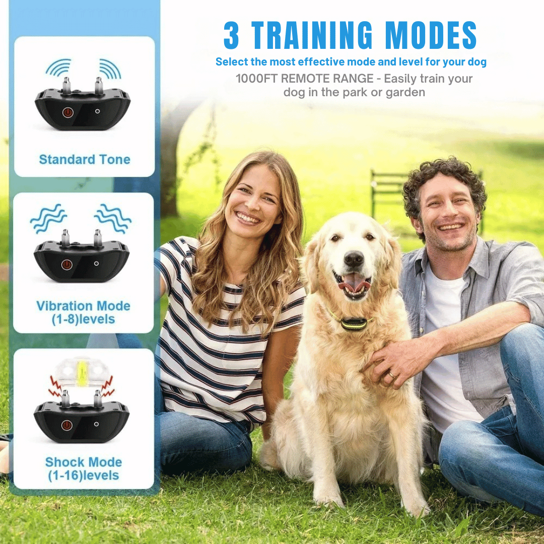 300m Dog Training Collar with LCD Remote | Waterproof E-Collar 6