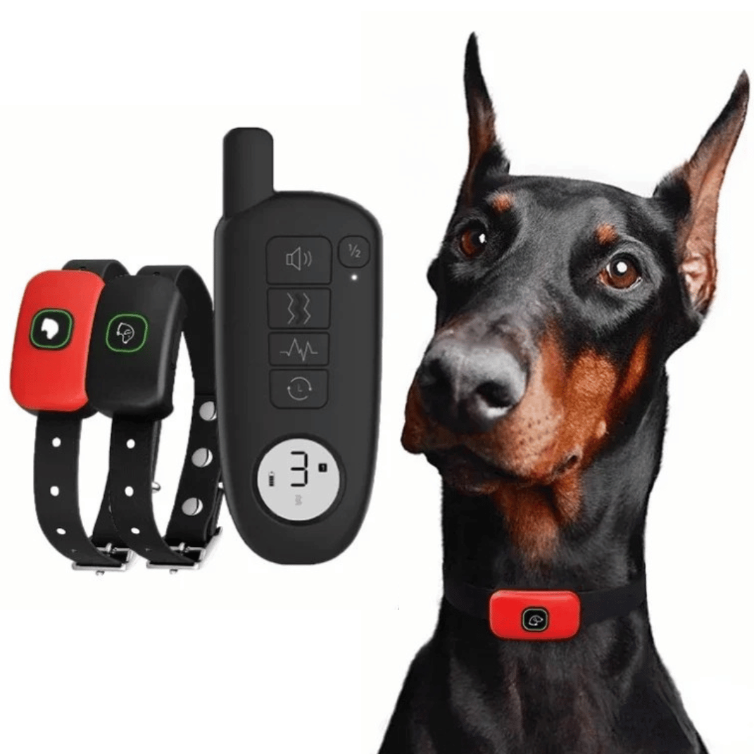 300m Dog Training Collar with Remote 2