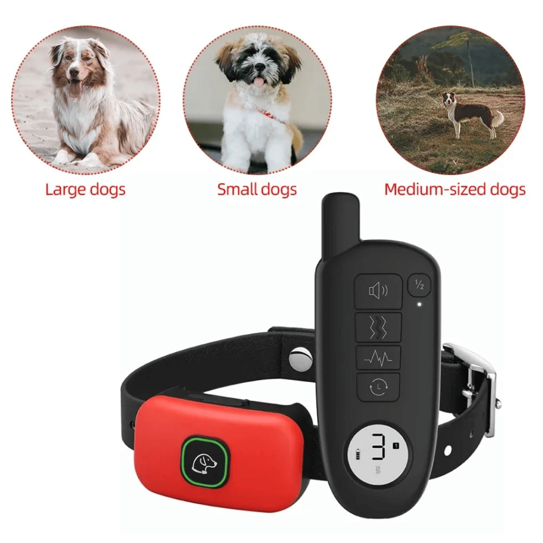 300m Dog Training Collar with Remote 5