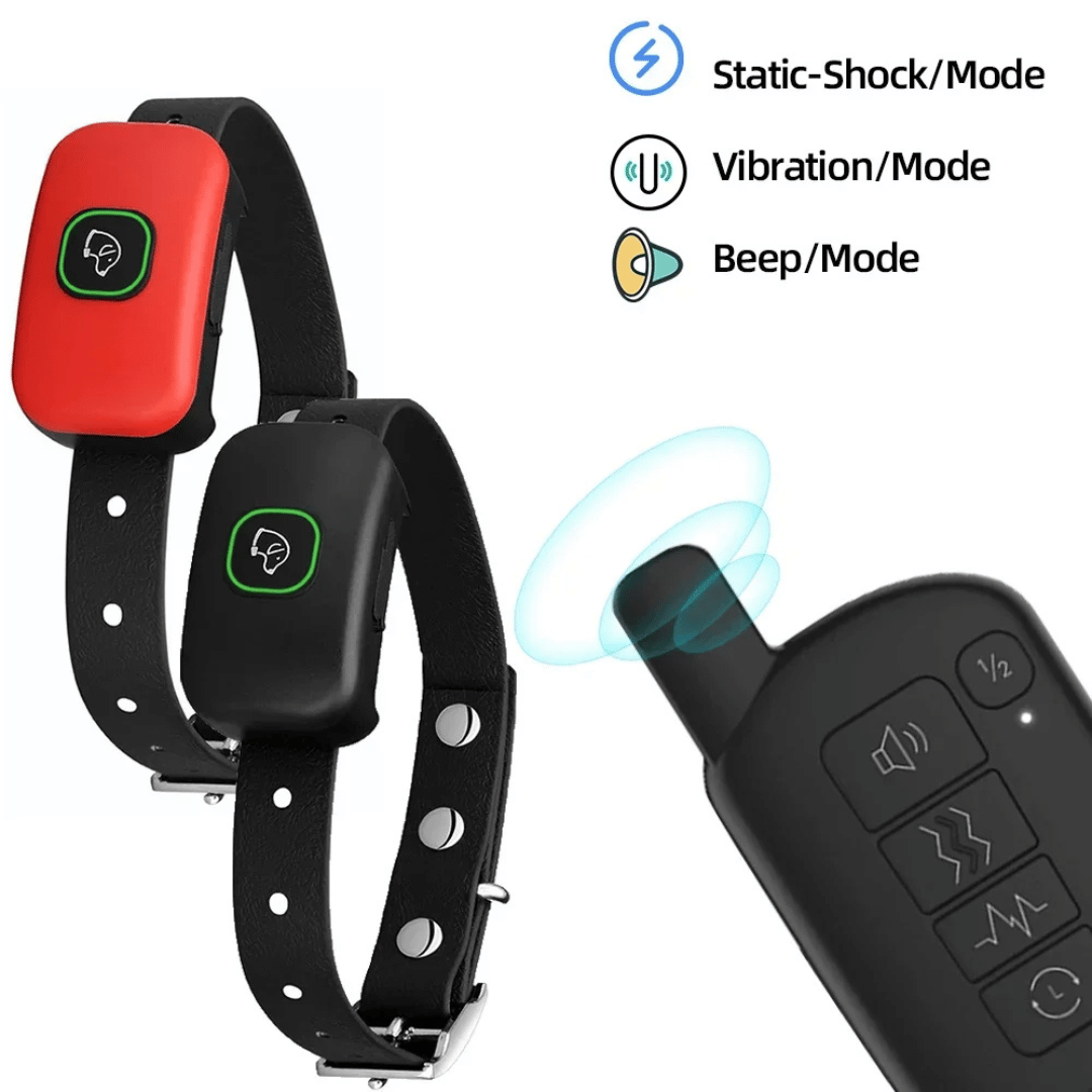 300m Dog Training Collar with Remote 7