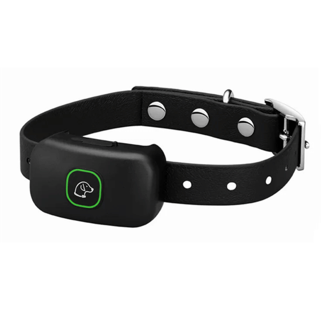 300m Dog Training Collar with Remote | Waterproof Smart Bark Stopper