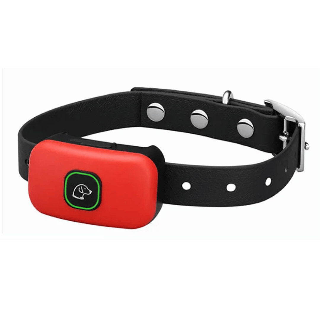 300m Dog Training Collar with Remote | Waterproof Smart Bark Stopper