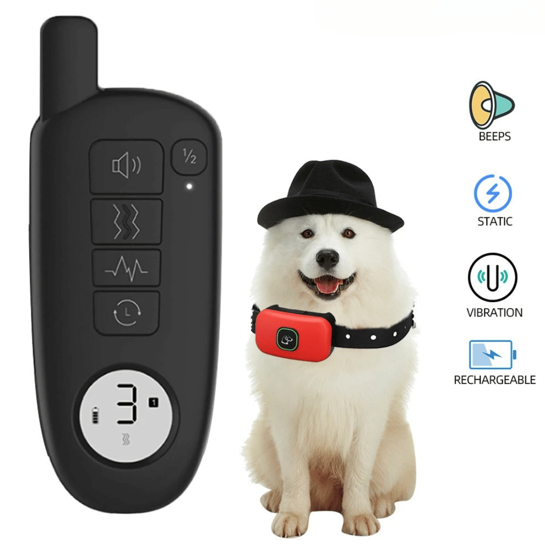 300m Electric Dog Training Collar with Remote Control 4