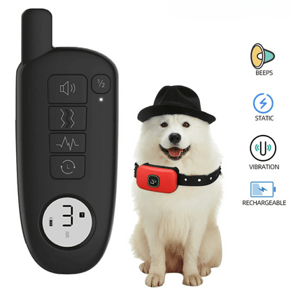 300m Electric Dog Training Collar with Remote Control 4