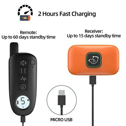 300m Electric Dog Training Collar with Remote Control 6