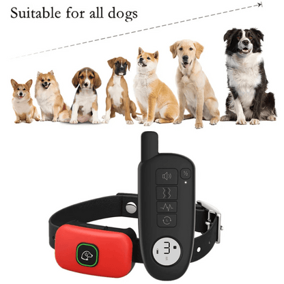 300m Dog Training Collar with Remote | Waterproof Smart Bark Stopper