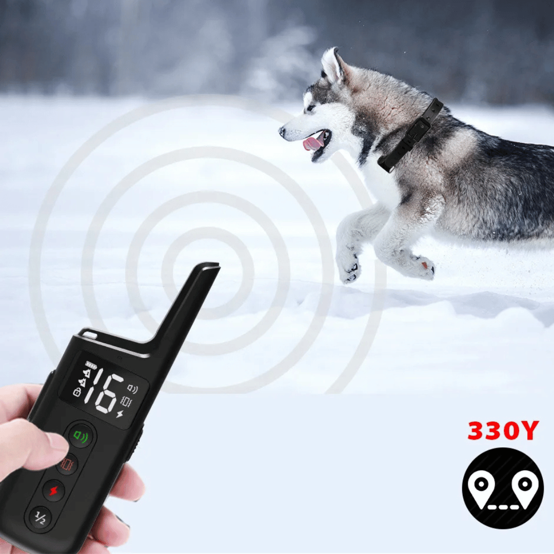 300m Safe Shock Electric Dog Training Collar with Remote Control 2
