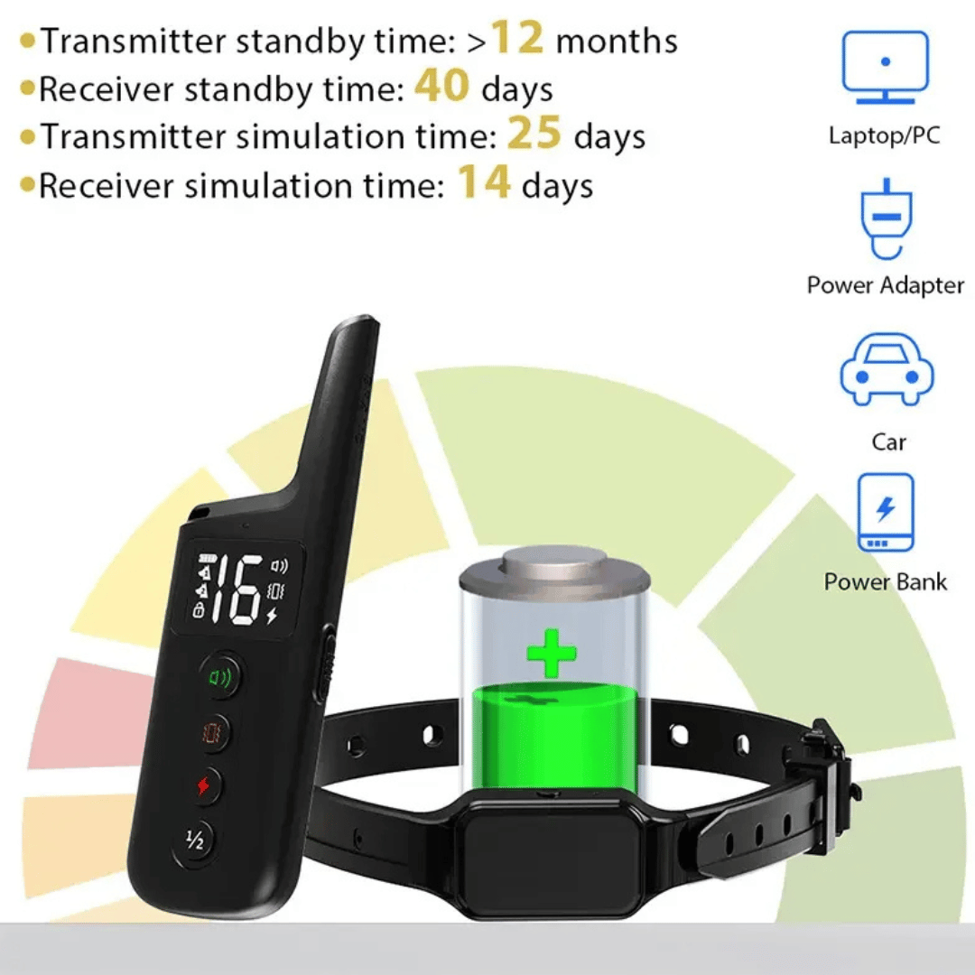 300m Safe Shock Electric Dog Training Collar with Remote Control 3