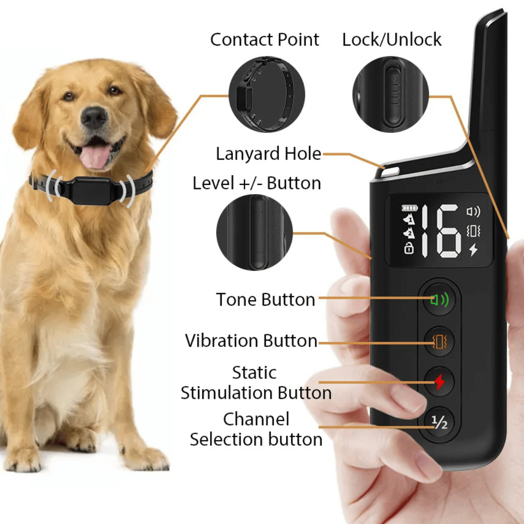 300m Safe Shock Electric Dog Training Collar with Remote Control 4