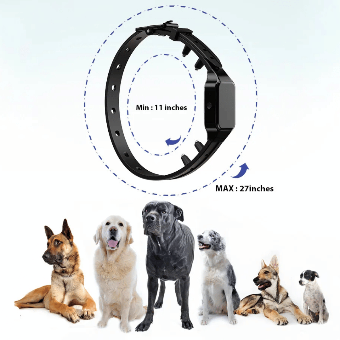 300m Safe Shock Electric Dog Training Collar with Remote Control 5