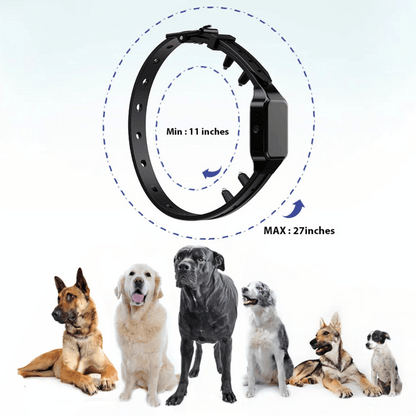 300m Safe Shock Electric Dog Training Collar with Remote Control 5