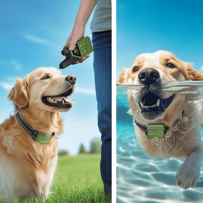 300m-smart-dog-training-collar-remote-control-16