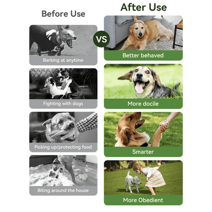 300m Smart Dog Training Collar & Remote Control 5
