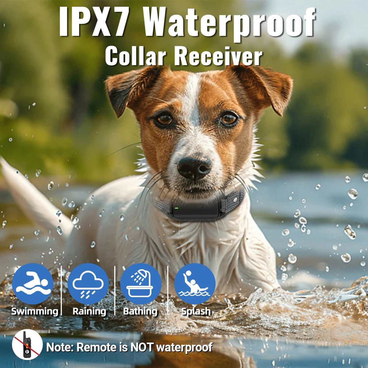 Dog Training eCollar with Remote & Flashlight for Sound, Vibration & Shock Control up to 600m | Waterproof & Night-Safe