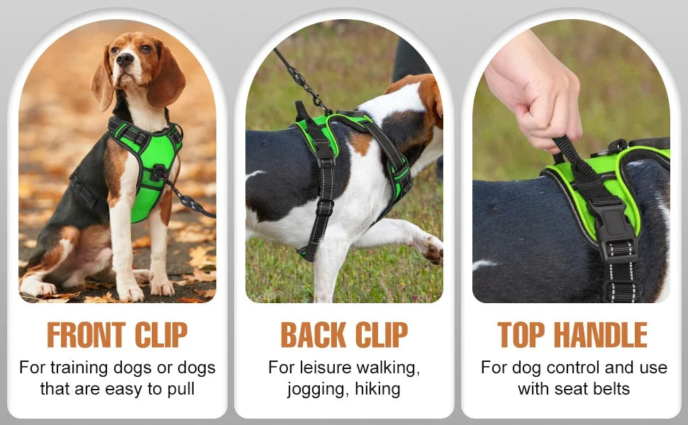 Bright LED Dog Harness for Safe Walking At Night | USB Rechargeable 10