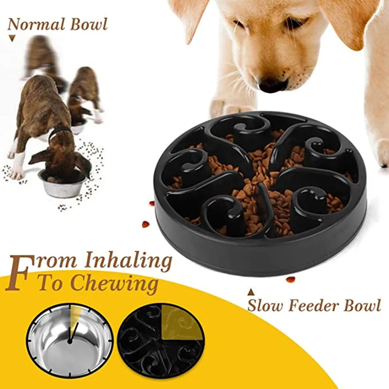 Slow Feeder Dog Bowl with Anti-Flip Base | Dog Lick Bowl for Heathy & Fun Eating