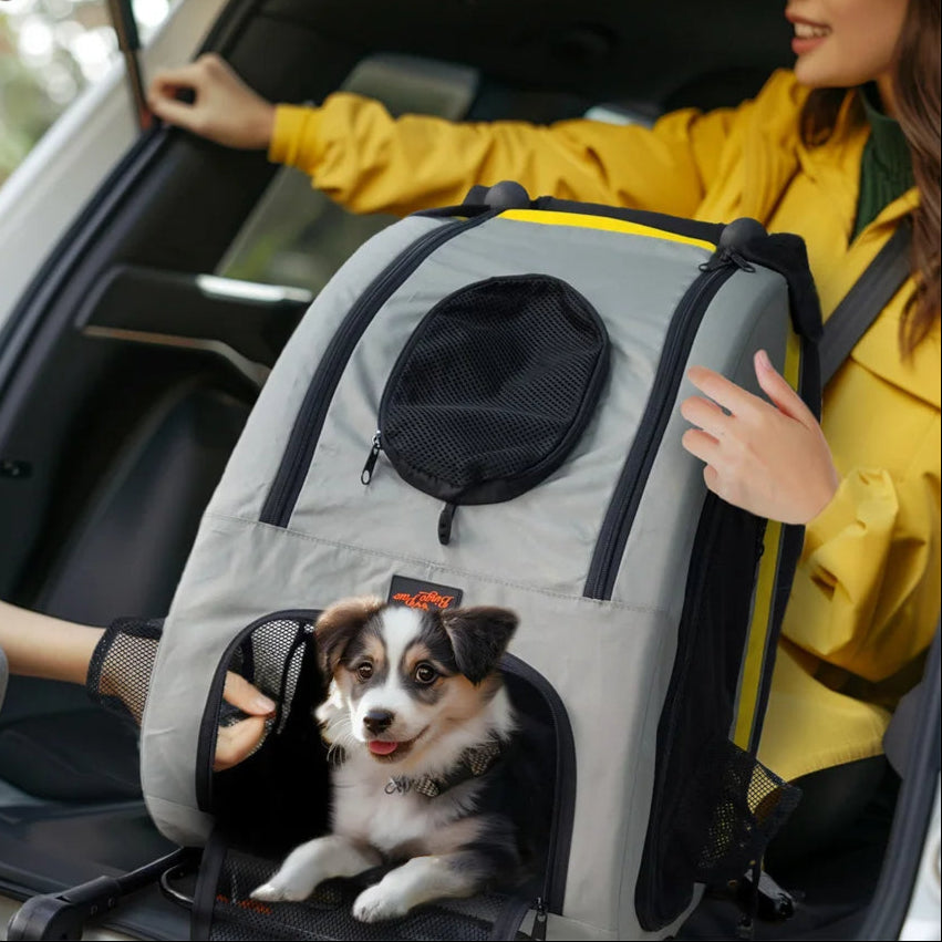 2-In-1 Collapsible Dog Stroller & Car Seat Travel Crate for Small Dogs 4