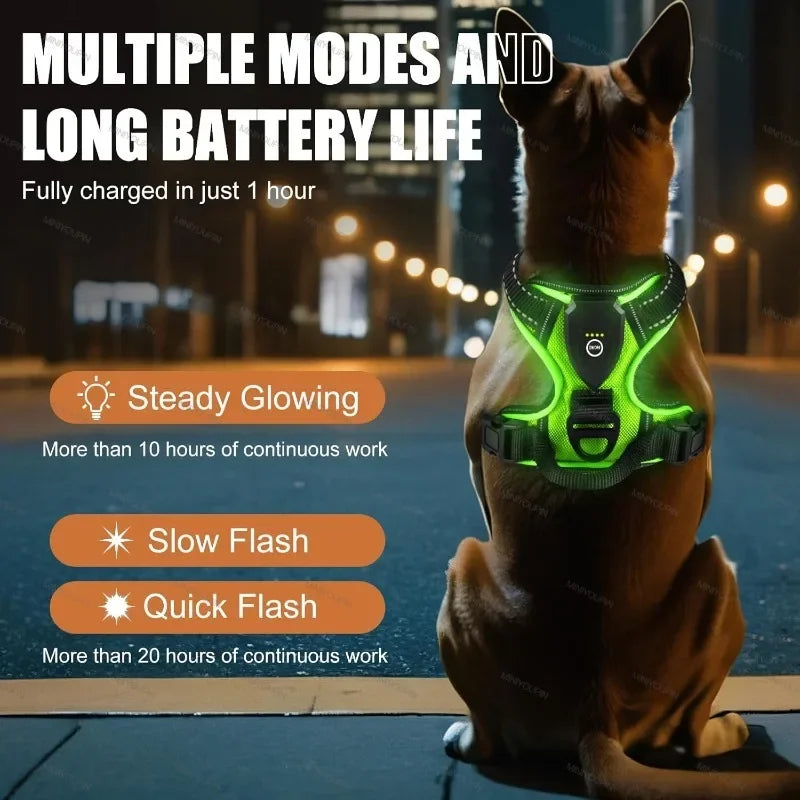 Bright LED Dog Harness for Safe Walking At Night | USB Rechargeable 4