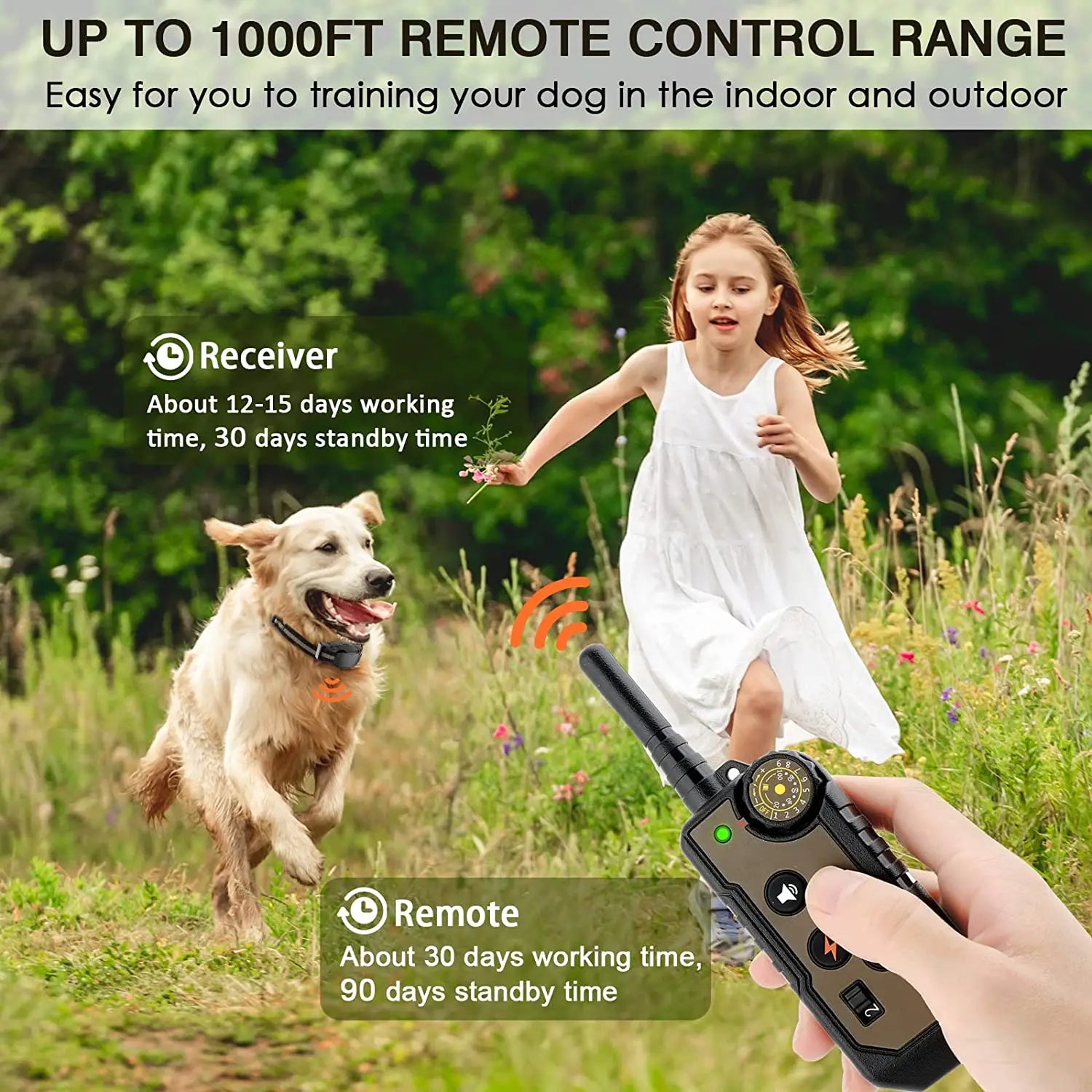 300m Dog Training Collar & Remote with Multiple Anti-Bark & Safe-Shock Controls 4