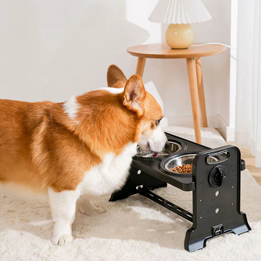 Fully Adjustable Raised Dog Feeding Station with Double Stainless Steel Dog Bowls 2