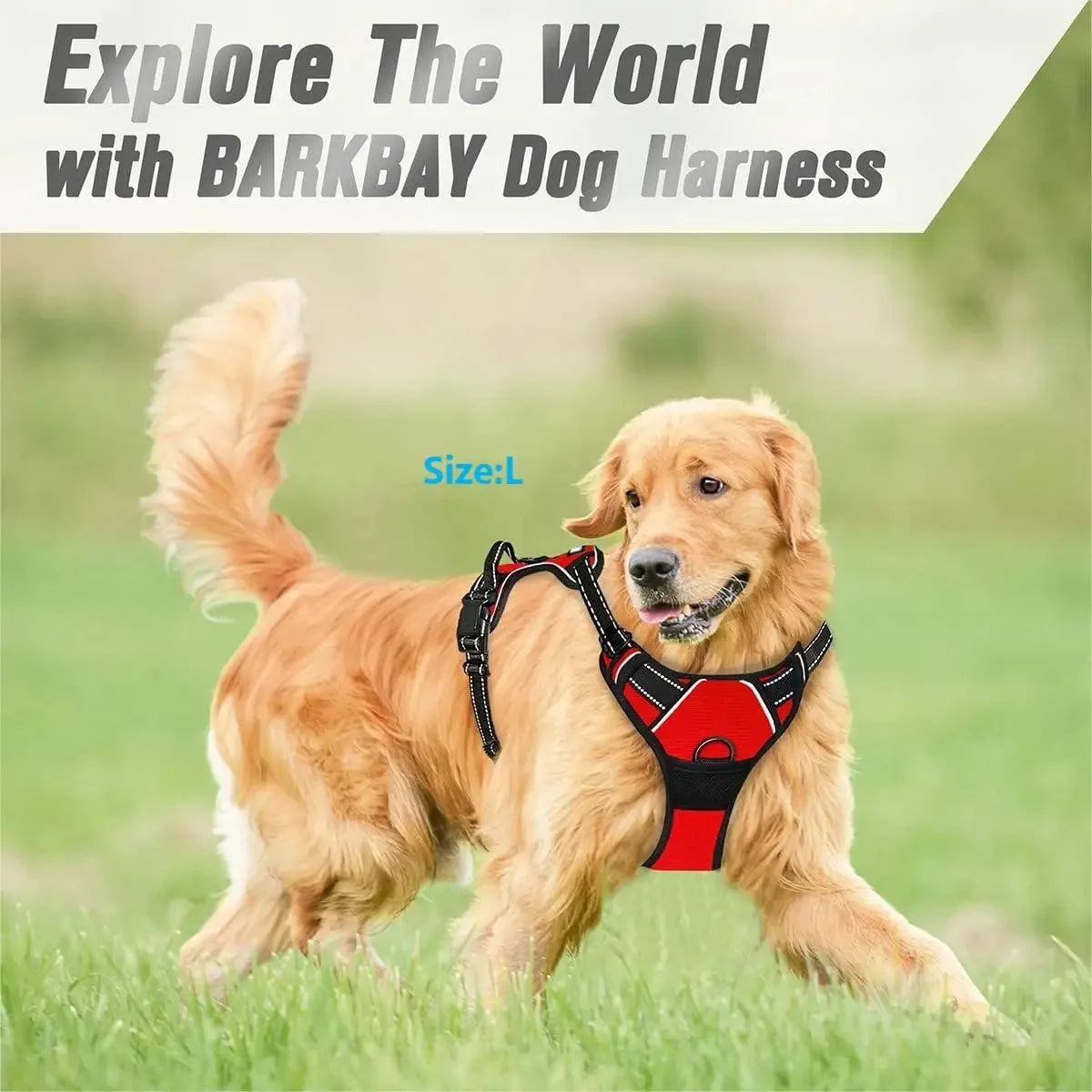 Dog Harness Training Vest with Reflective Straps, Handle & Secure Buckles 7