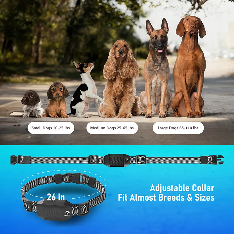 800m Remote Controlled Dog Training Collar | Rechargeable Shock, Vibration & Beep E-Collar
