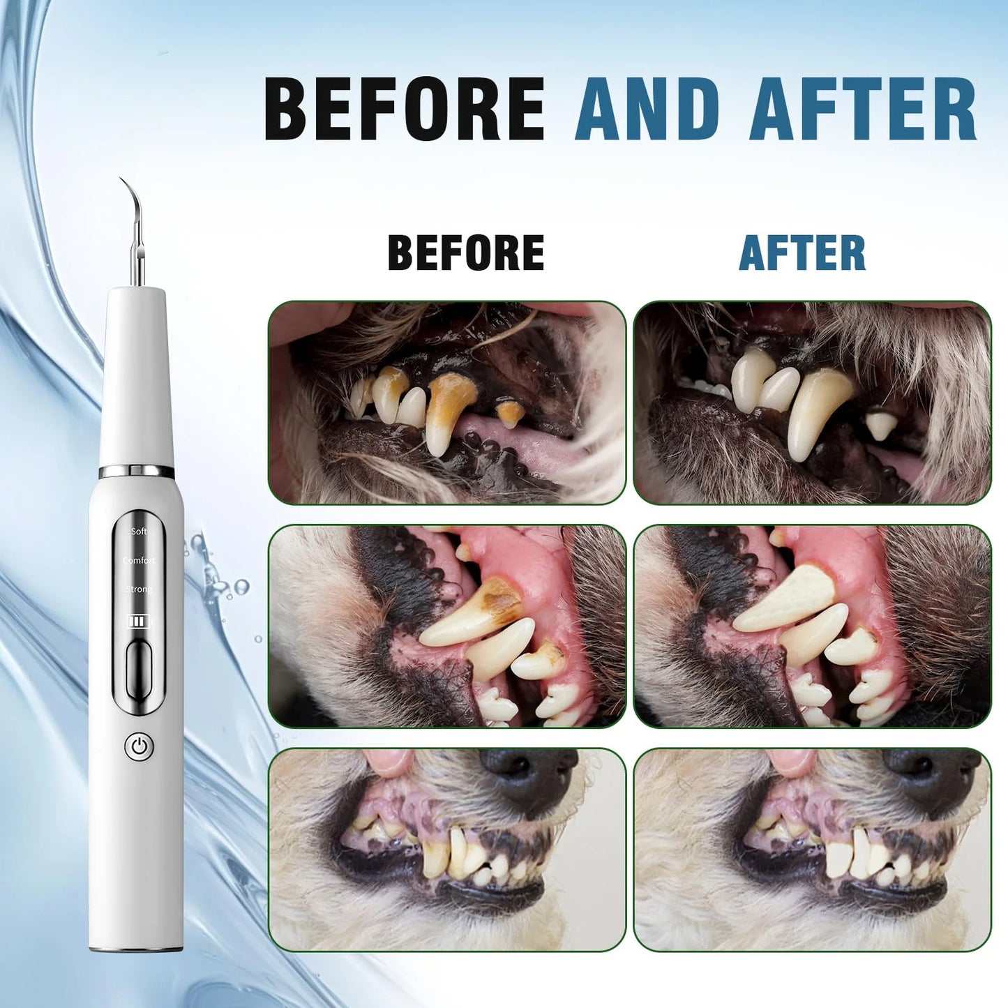 Dog Oral Hygiene Dental Tool Kit | Tartar Control & Teeth Cleaning Set