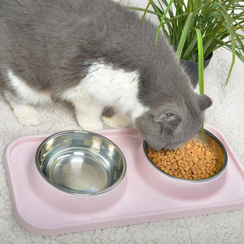 Double Stainless Steel Dog Bowls & No-Flip Tray