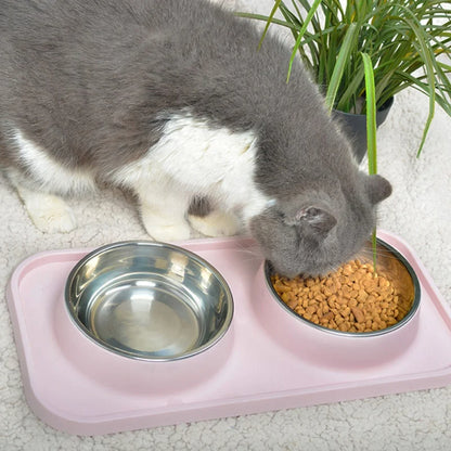 Double Stainless Steel Dog Bowls & No-Flip Tray