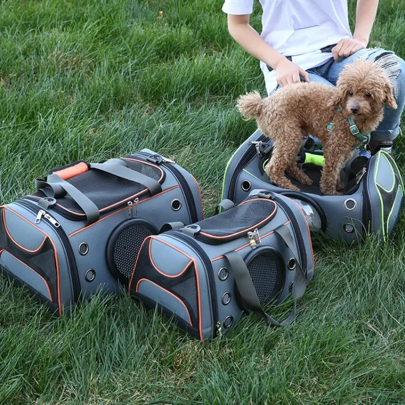 Spacious & Breathable Pet Travel Bag Carrier with Cool Viewing Window for Cats & Small Dogs 14