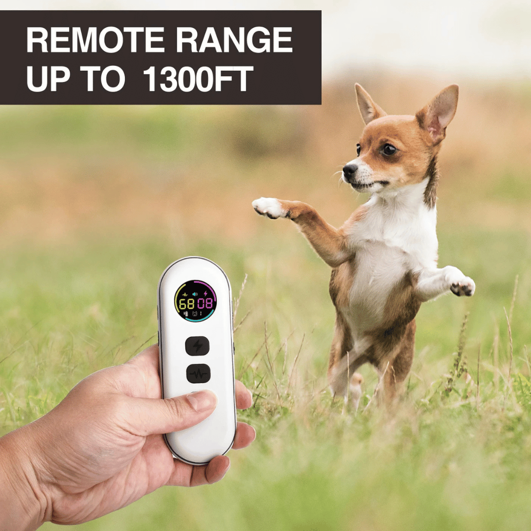 400m Remote Controlled Dog Training Collar for Small or Large Dogs 12