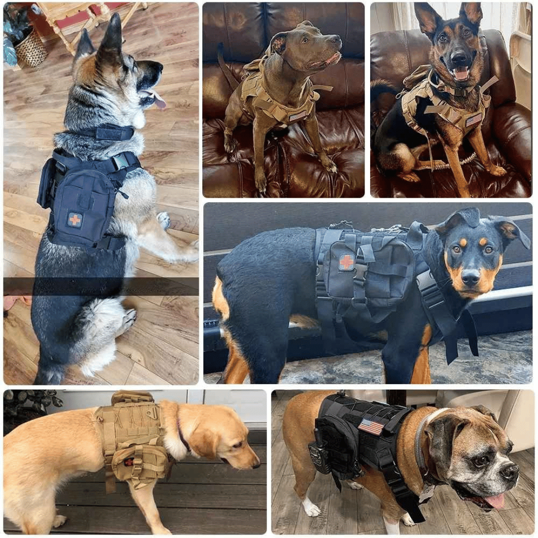 Large Dog Military-Style Dog Harness with Collar, Leash & Pouch Set | Tactical Dog Training Vest 25
