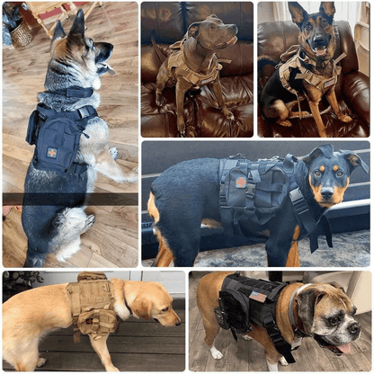 Large Dog Military-Style Dog Harness with Collar, Leash & Pouch Set | Tactical Dog Training Vest 25