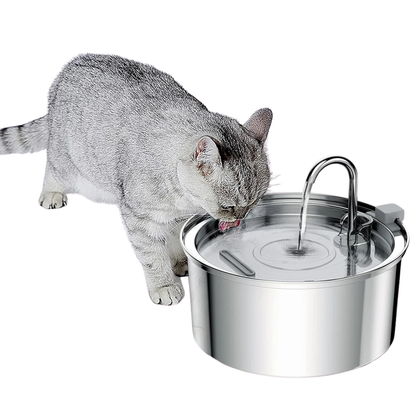Stainless Steel Automatic Cat Water Fountain with Quiet Motion Sensor | USB Rechargeable