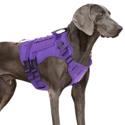Reinforced Military-Style Dog Harness for Larger Breeds with Handle | Tactical Dog Training Vest 10