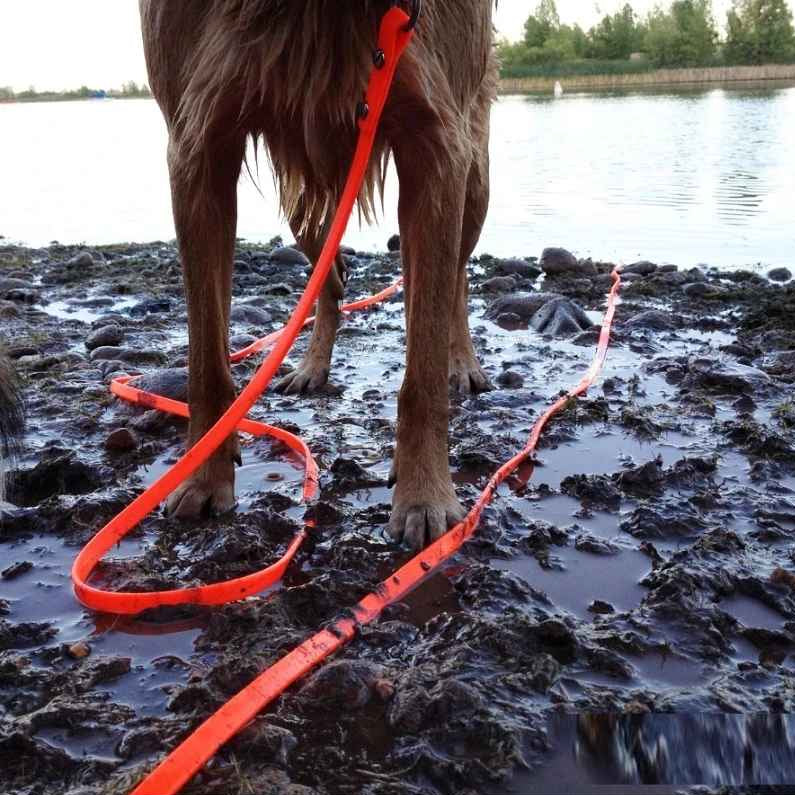 Heavy-Duty & Extra-Long Dog Lead Made From Waterproof PVC 5